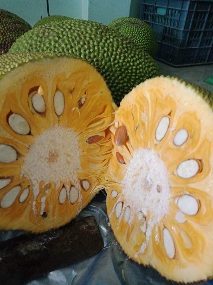 See the source image