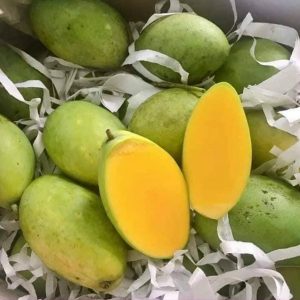sỉ xoài keo vàng - Tinicart.vn - Sàn đăng tin mua bán Nông sản giá sỉ Sỉ Xoài Keo Vàng - Tinicart.Vn - Sàn Đăng Tin Mua Bán Nông Sản Giá Sỉ