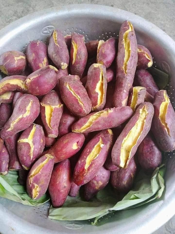 Khoai Lang Nhật Ruột Vàng Đăk Lăk - Tinicart.Vn - Sàn Đăng Tin Mua Bán Nông  Sản Giá Sỉ