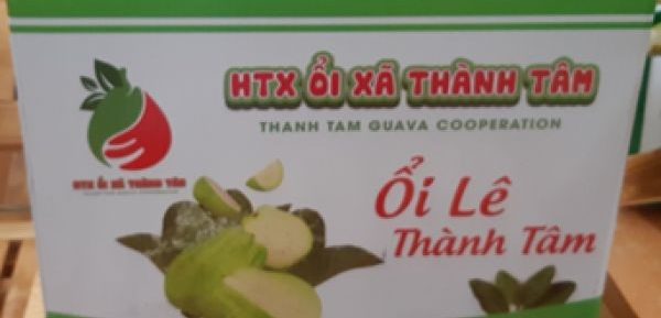 Ổi Lê Thành Tâm Thạch Thành