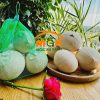 Dừa xiêm xanh Gọt trọc - Đặc sản Bến Tre