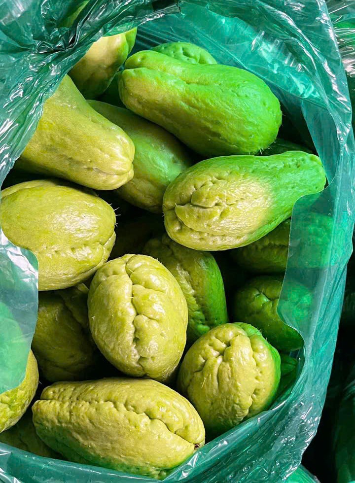 z7297672087412_36b2d6a7f9f0640205d2fa5390378396