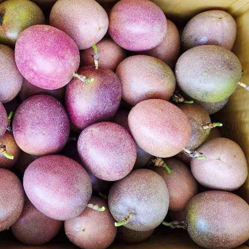 Chanh dây hồng ngọt Chanh dây hồng ngọt