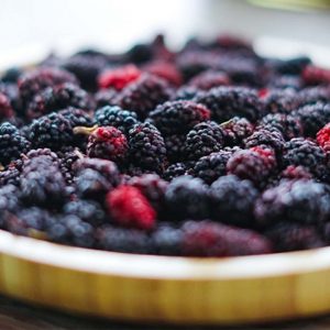 dâu tằm sấy khô Đà Lạt