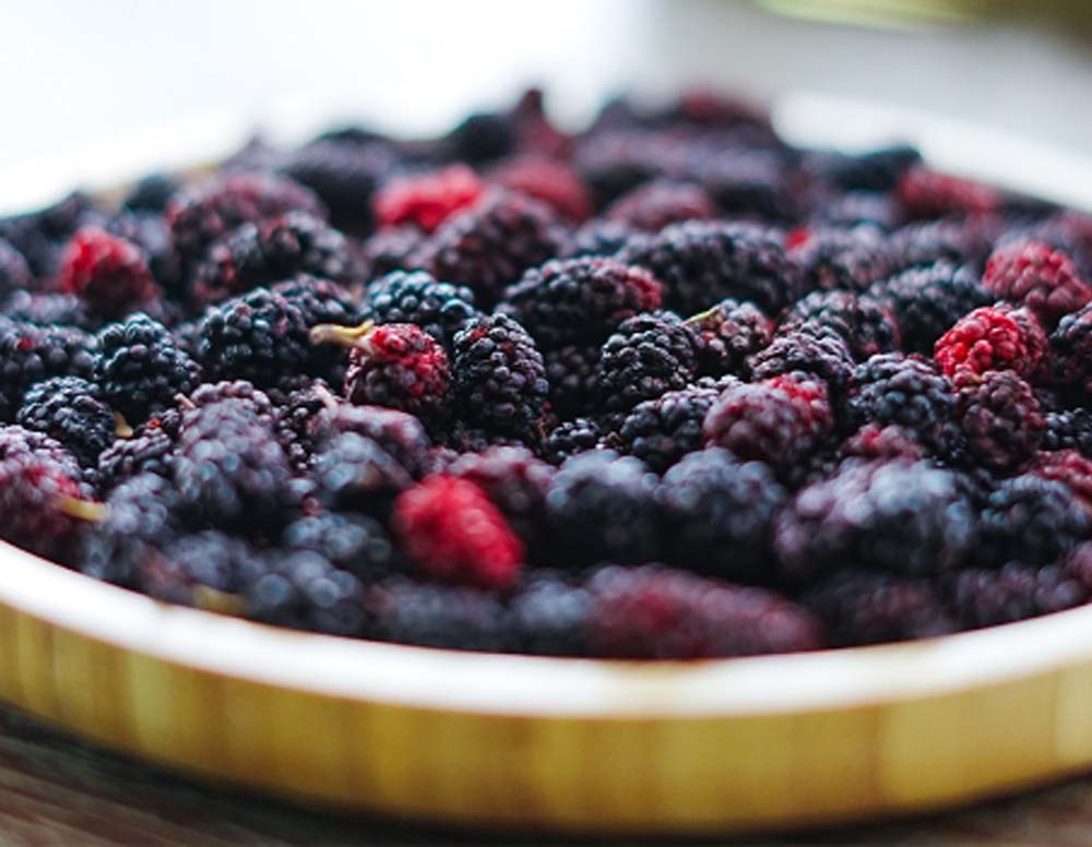 dâu tằm sấy khô Đà Lạt dâu tằm sấy khô Đà Lạt