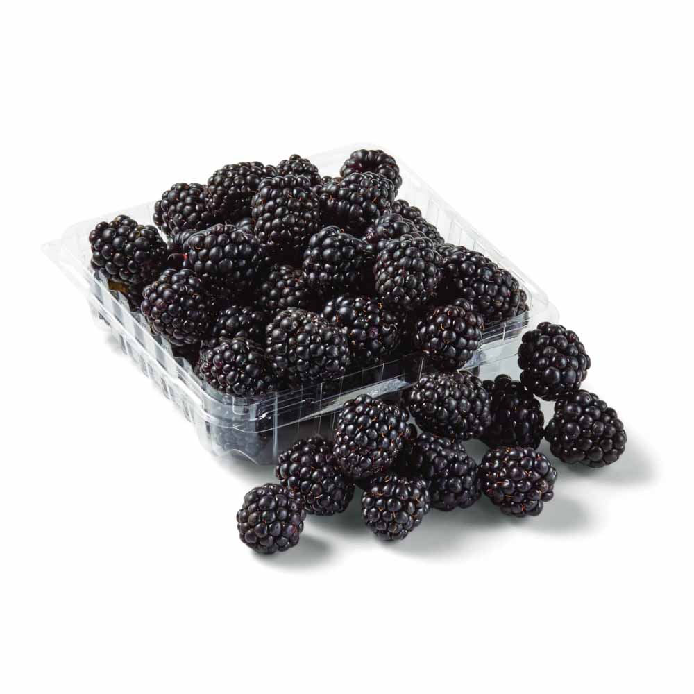 quả phúc bồn tử Đà Lạt quả phúc bồn tử Đà Lạt