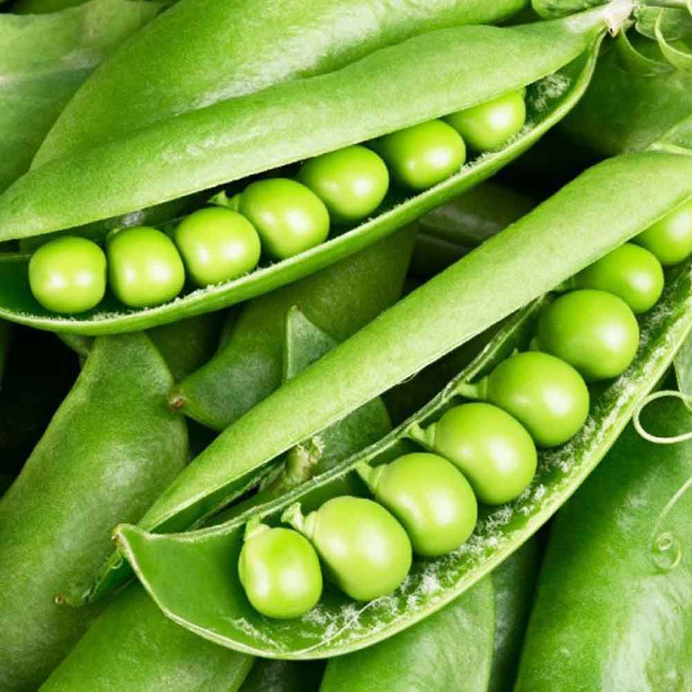Hạt đậu Hà Lan tươi Hạt đậu Hà Lan tươi