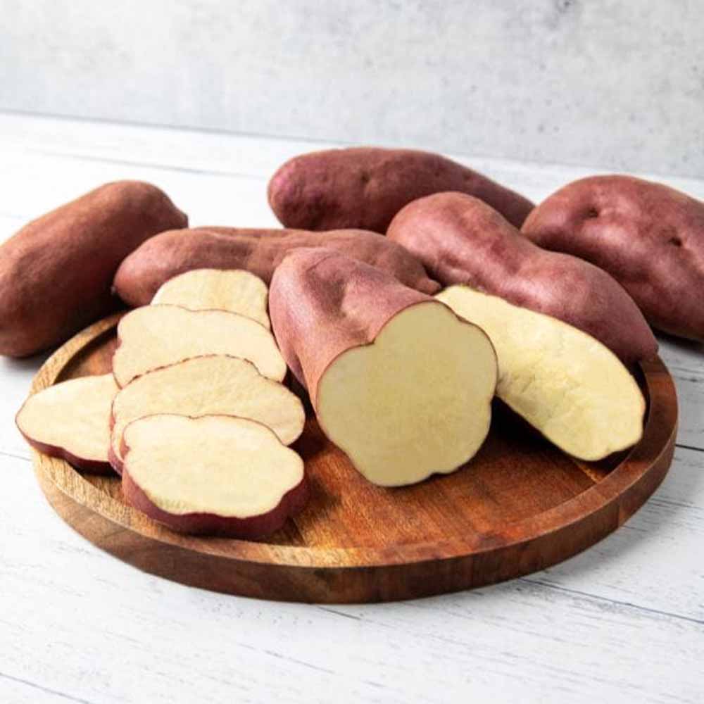 Khoai Lang Nhật Khoai Lang Nhật