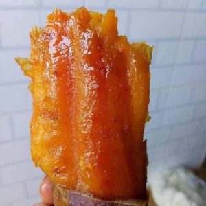 Khoai lang mật Đà Lạt
